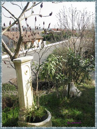 Dans mon jardin il y a ....