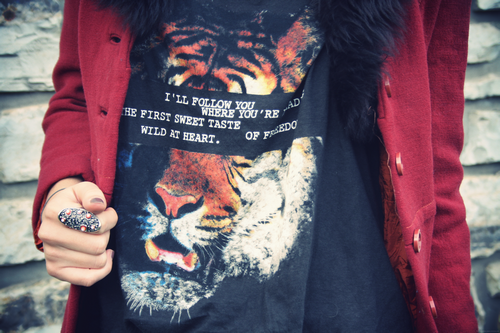 Image and video hosting by TinyPic