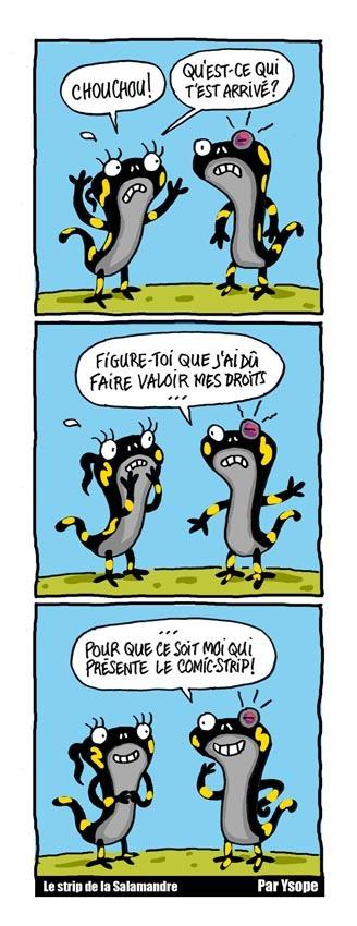 CS1bisLa Salamandre petit