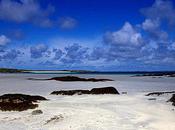 Presque, tout presque...comme Antilles!