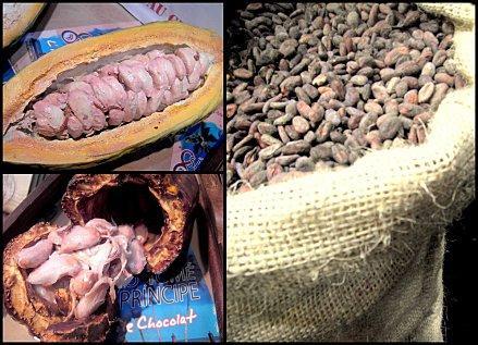 Salon du Chocolat Lille 2011... 1 évènement innovant dans notre région Salon du Chocolat Lille 20113