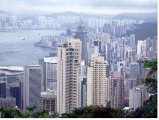 Des ours « séquestrés » au sein d’une association de protection des animaux !