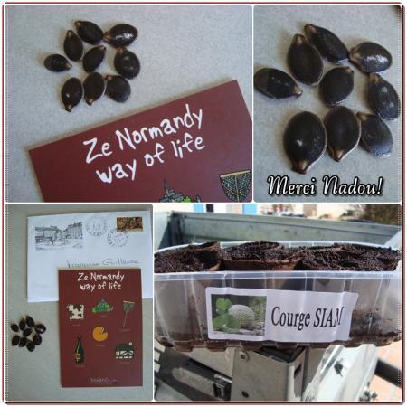 Les semences de Nadou, 7 mars 2011