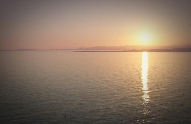 Mes préférés du moment ...