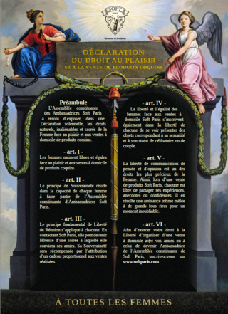 Declaration_reunion_sextoys