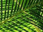 Chine souhaite croissance verte