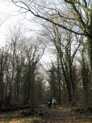 Marche de Mondelange