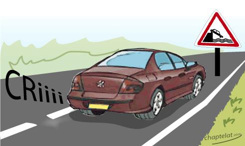 le cri est une manipulation Le cri du singe.