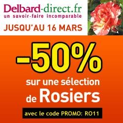 Le Printemps des bibliothèques se prépare dans tout le Haut-Rouergue