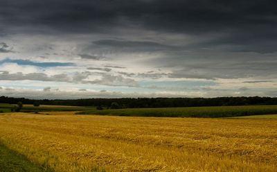 (c) Photo de Flagada