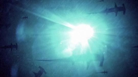 Until Dark by Selbyville – Clip