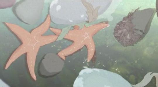 Until Dark by Selbyville – Clip