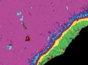 Deux célèbres météorites coeur l’actualité