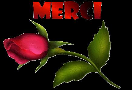 Bissara marocaine à ma façon