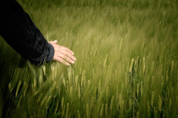 La caresse (Roger Munier)