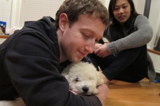 zuckerberg chien 540x360 Le chien de Mark Zuckerberg a désormais sa page Facebook