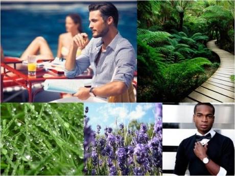 guide choisir un parfum homme 1 guide choisir un parfum homme 1 620x465 Choisir un parfum : les 4 familles olfactives