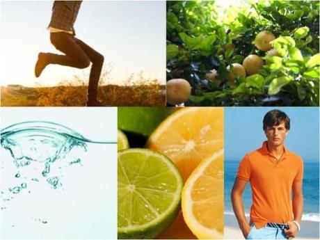 guide choisir un parfum homme 3 guide choisir un parfum homme 3 620x465 Choisir un parfum : les 4 familles olfactives