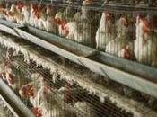 sont tous condamnés mort