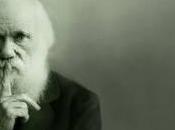 Mondialisation Culture