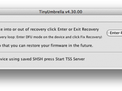 TinyUmbrella 4.30 Sauvegarder SHSH iPad