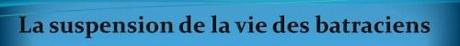 enterré vivant,hibernation,fakir,obe,nde,léthargie,coma,miracle,benghoubey,mirin dayo,science,inexplique,paranormal,insolite,véridique,histoire vraie,douleur,insensible,insensibillisation