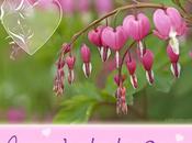 Pour vous, mars 2011