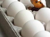 faut jamais croire tout l'on voit