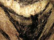 Non, n’ai aucun problème avec l’épilation