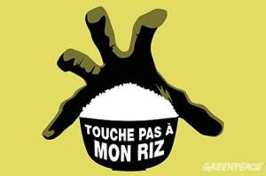 [CHINE - Alimentation - Santé] Le Peuple chinois dit « NON » au riz OGM