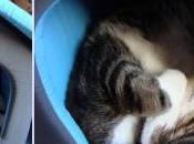 Adoptée.... maison, mars 2011