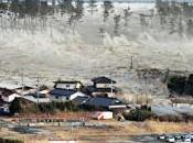 Vidéo Tsunami Japon