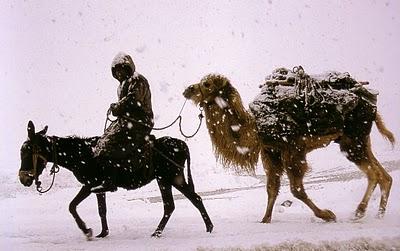 Odoric de Pordenone (vers 1265-1331)