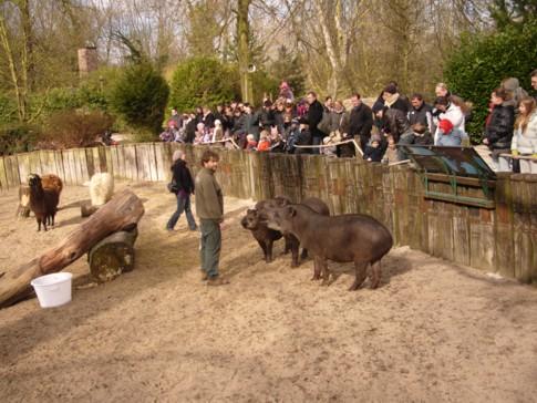 Le futur Zoo de Lille: une merveille!