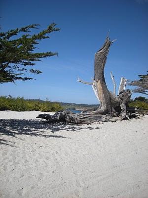 La Californie - Jours 1 & 2