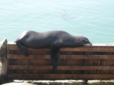 La Californie - Jours 1 & 2