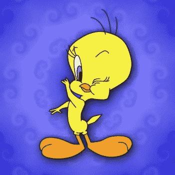 Tajine de veau aux courgettes et cristophines