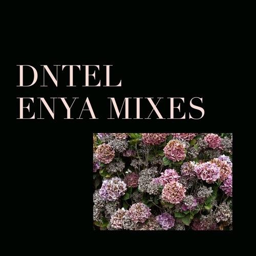DNTEL: Enya Remixes - Free LP
“All mixes by DNTEL with...