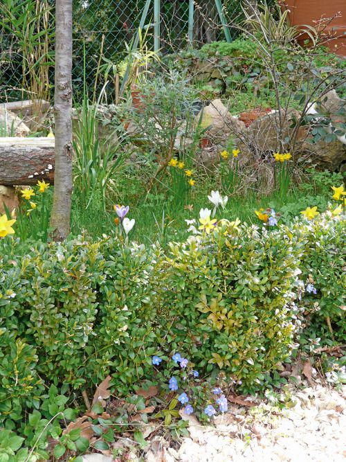 Il pleut, il pleut, il pleut... : journal du 12 mars 2011