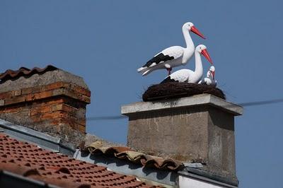 Quand passent les cigognes