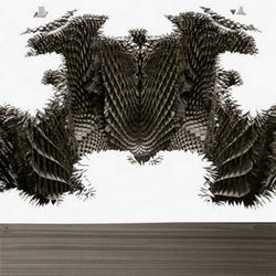 L'art architecturale de Michael Hansmeyer