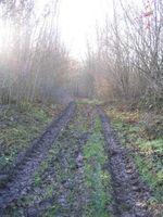 Saint-Cyr-sur-Morin (77) Saint-Cyr-sur-Morin (77)