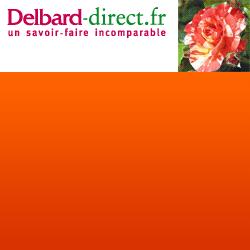 Saint-Ambroix (30) - ‘Mutuelle lecture’ : Pierrette Durand cède la place