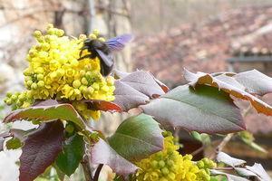 Promenade de santé maison_011