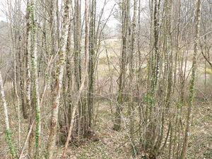 Promenade de santé paupiettes_005