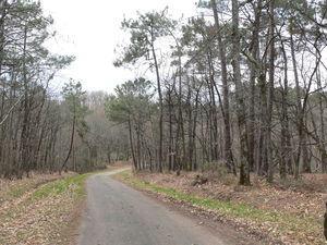 Promenade de santé paupiettes_004