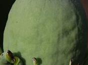 comment empêcher enfants crier trop fort?