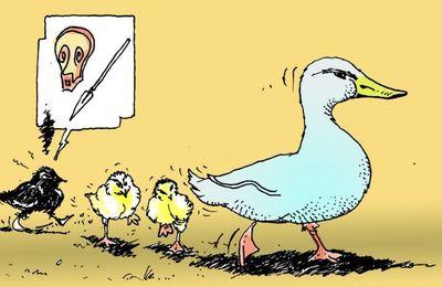 La sorcellerie : des contes d’un genre rocambolesque. Illustration (c) Art-Stok