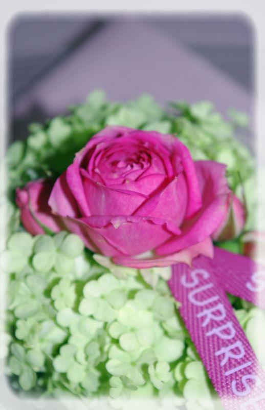 table_couleur_printemps_014_modifi__1