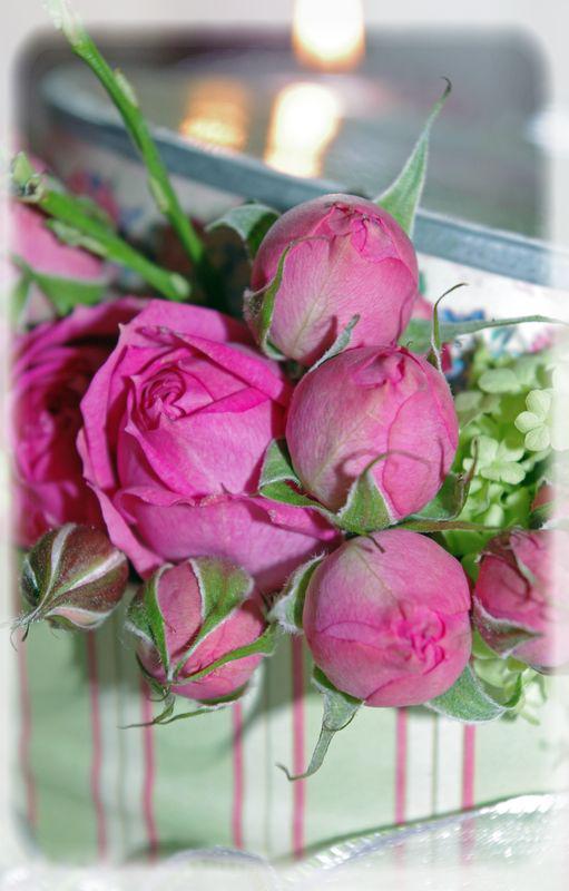 table_couleur_printemps_019_modifi__1